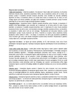 Konspekts 'Civillikuma kolīziju normas un kāzusa risināšanas shēma', 10.