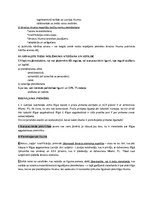 Konspekts 'Civillikuma kolīziju normas un kāzusa risināšanas shēma', 13.