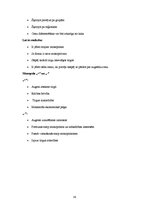 Konspekts 'Mikroekonomika', 39.