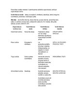 Konspekts 'Organizāciju kultūru tipi personības izpētes metodēs', 1.