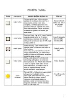 Konspekts 'Koksnes pigmentu tabula', 1.