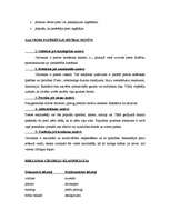 Konspekts 'Reklāma', 6.