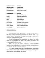 Konspekts 'Reklāma', 7.