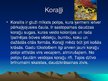 Prezentācija 'Koraļļi', 3.