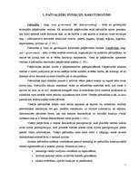 Referāts 'Pašvaldības funkcija - teritoriālā plānošana. Izstrāde un plānošana', 5.