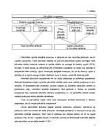 Referāts 'Pašvaldības funkcija - teritoriālā plānošana. Izstrāde un plānošana', 7.