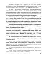 Referāts 'Pašvaldības funkcija - teritoriālā plānošana. Izstrāde un plānošana', 19.