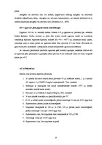 Referāts 'Dengue vīrusa EDIII rajona eksponēšana uz fr apvalka proteīna virsmas', 29.