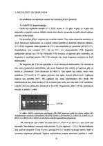 Referāts 'Dengue vīrusa EDIII rajona eksponēšana uz fr apvalka proteīna virsmas', 30.