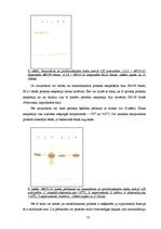 Referāts 'Dengue vīrusa EDIII rajona eksponēšana uz fr apvalka proteīna virsmas', 32.