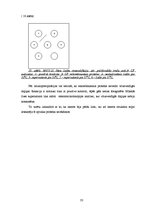 Referāts 'Dengue vīrusa EDIII rajona eksponēšana uz fr apvalka proteīna virsmas', 33.