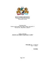 Paraugs 'Pasažieru pārvadājumu organizācija un vadība', 1.