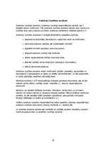 Paraugs 'Pasažieru pārvadājumu organizācija un vadība', 23.