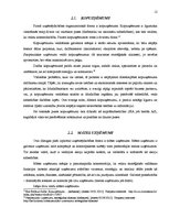 Referāts 'Uzņēmējdarbības tiesiskās un organizatoriskās formas', 12.