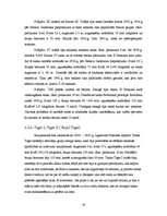 Referāts 'Krievijas un Vācijas tanku armiju militārsalīdzinošais raksturojums Otrajā pasau', 19.