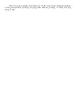 Konspekts 'Muitas teritorija un muitas robeža', 2.