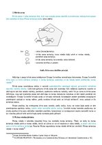 Konspekts 'Muitas teritorija un muitas robeža', 3.