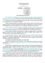 Konspekts 'Muitas teritorija un muitas robeža', 6.