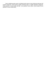 Konspekts 'Muitas teritorija un muitas robeža', 19.