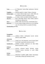 Referāts 'Preces pētījums, "Staburadze"', 4.