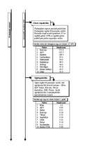 Konspekts 'Pasaules saimniecības sektori un nozares', 2.