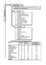 Konspekts 'Pasaules saimniecības sektori un nozares', 5.