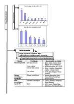 Konspekts 'Pasaules saimniecības sektori un nozares', 7.