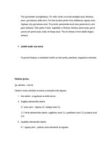 Konspekts 'Kaulu senie un modernie nosaukumi dažādās valodās, sinonīmi, to izcelšanās', 6.
