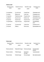 Konspekts 'Kaulu senie un modernie nosaukumi dažādās valodās, sinonīmi, to izcelšanās', 10.