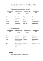 Konspekts 'Kaulu senie un modernie nosaukumi dažādās valodās, sinonīmi, to izcelšanās', 12.