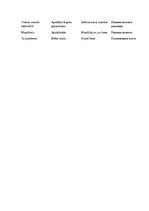 Konspekts 'Kaulu senie un modernie nosaukumi dažādās valodās, sinonīmi, to izcelšanās', 16.