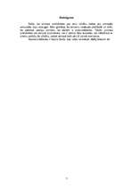 Referāts 'Žestu valoda', 7.