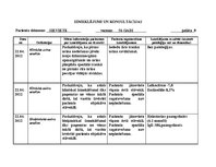 Konspekts 'Aprūpes plāns', 7.