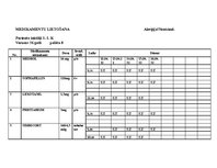 Konspekts 'Aprūpes plāns', 17.