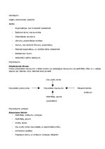 Konspekts 'Ekonomikas teorija', 8.