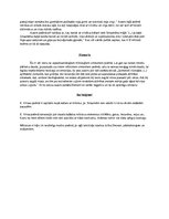 Eseja 'Mītiskais Edvarta Virzas poēmā "Starumēni"', 4.