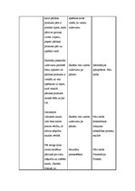 Konspekts 'Kvalifikācijas eksāmens sākumskolai', 3.