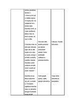 Konspekts 'Kvalifikācijas eksāmens sākumskolai', 5.