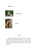 Referāts 'Ekskursija uz Siguldu', 17.