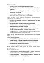 Diplomdarbs 'Projekta vadītāja profesijas prasību analīze Latvijā', 19.