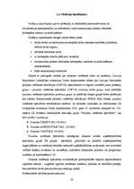 Diplomdarbs 'Projekta vadītāja profesijas prasību analīze Latvijā', 24.