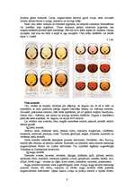 Referāts 'Vīna novērtēšana, iegāde un pasniegšana', 9.