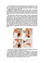 Referāts 'Vīna novērtēšana, iegāde un pasniegšana', 14.