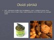 Prezentācija 'Oksīdu ietekme uz apkārtējo vidi', 17.