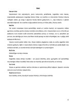 Biznesa plāns 'Nekomerciālās mūzikas un mākslas klubs', 12.