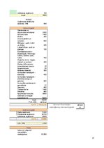 Biznesa plāns 'Nekomerciālās mūzikas un mākslas klubs', 15.