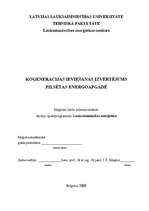 Diplomdarbs 'Koģenerācijas ieviešanas izvērtējums pilsētas energoapgādē', 1.