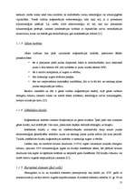 Diplomdarbs 'Koģenerācijas ieviešanas izvērtējums pilsētas energoapgādē', 13.