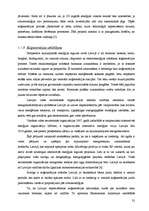 Diplomdarbs 'Koģenerācijas ieviešanas izvērtējums pilsētas energoapgādē', 32.