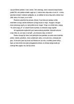 Konspekts 'Rakstība un literatūra Divupē', 3.